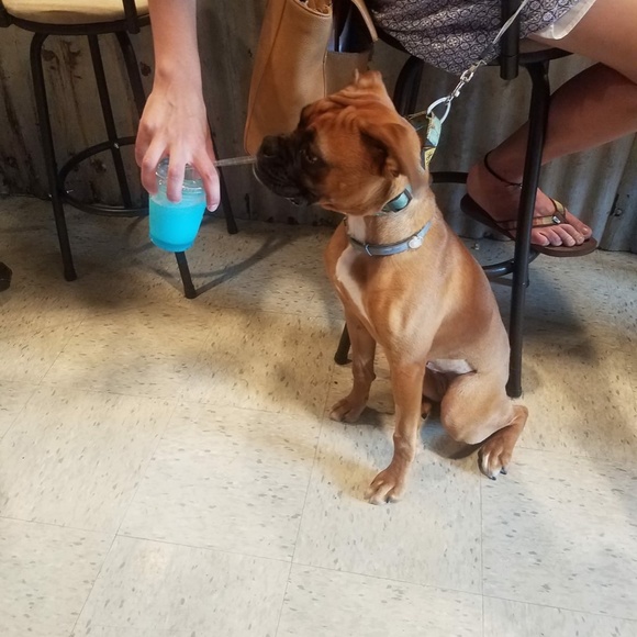 Meet your Posher, Danielle - Picture 2 of 7